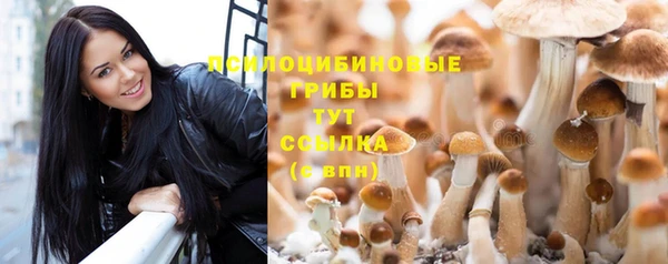 ПСИЛОЦИБИНОВЫЕ ГРИБЫ Алексеевка