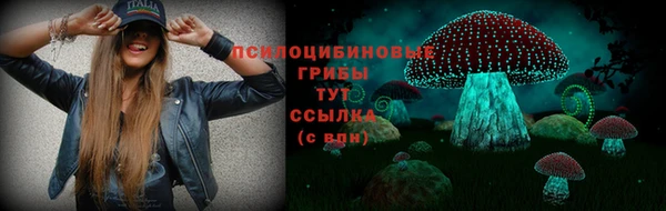 ПСИЛОЦИБИНОВЫЕ ГРИБЫ Алексеевка