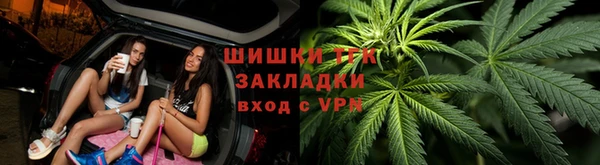 ПСИЛОЦИБИНОВЫЕ ГРИБЫ Алексеевка