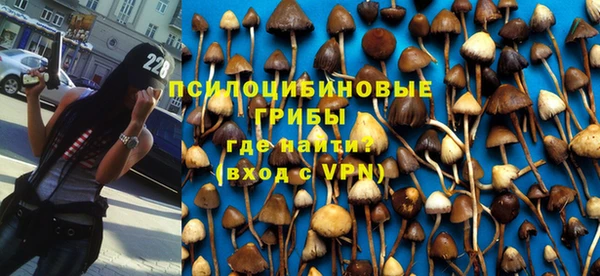 шишки Алзамай