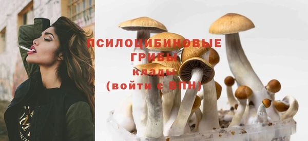 стаф Алексин