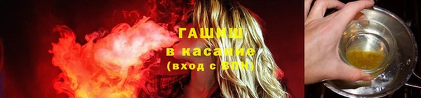 шишки Алзамай