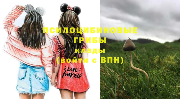шишки Алзамай