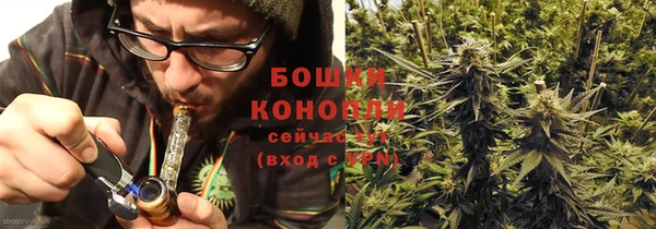 шишки Алзамай
