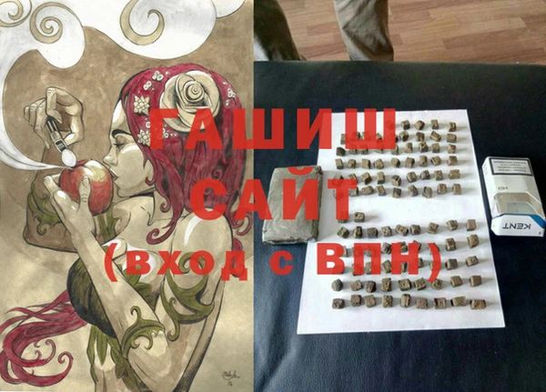 стаф Алексин
