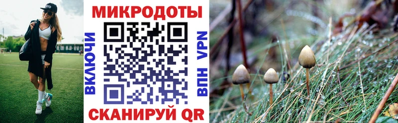 Псилоцибиновые грибы Cubensis mega вход Кирс